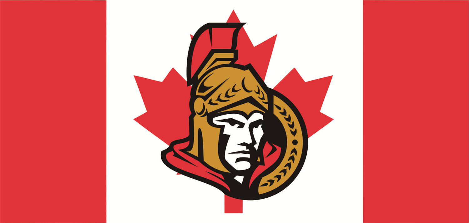 Ottawa Senators Flags fabric transfer